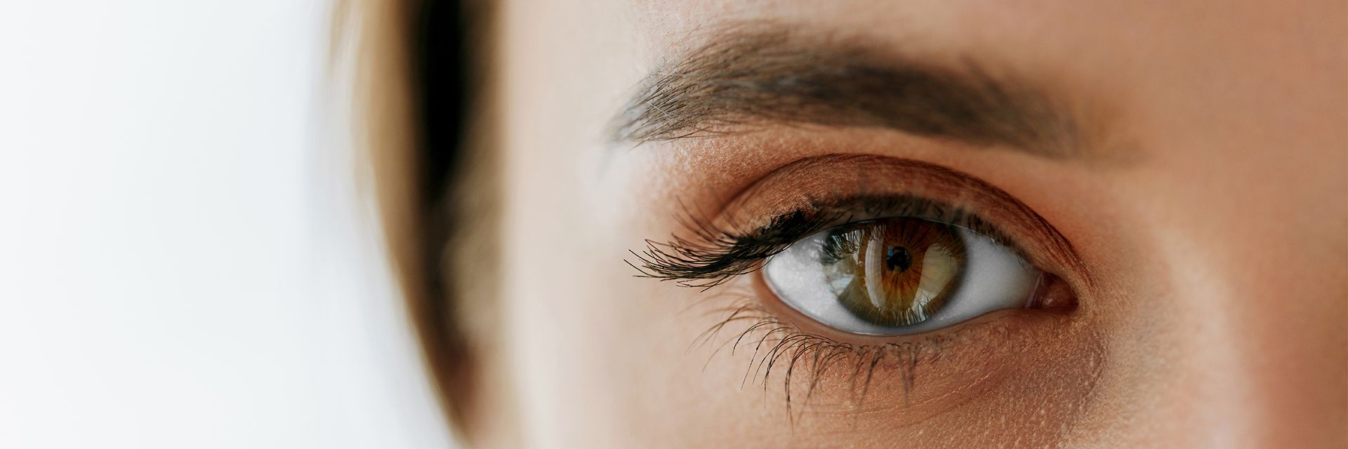 10 de julho: Dia Mundial da Saúde Ocular