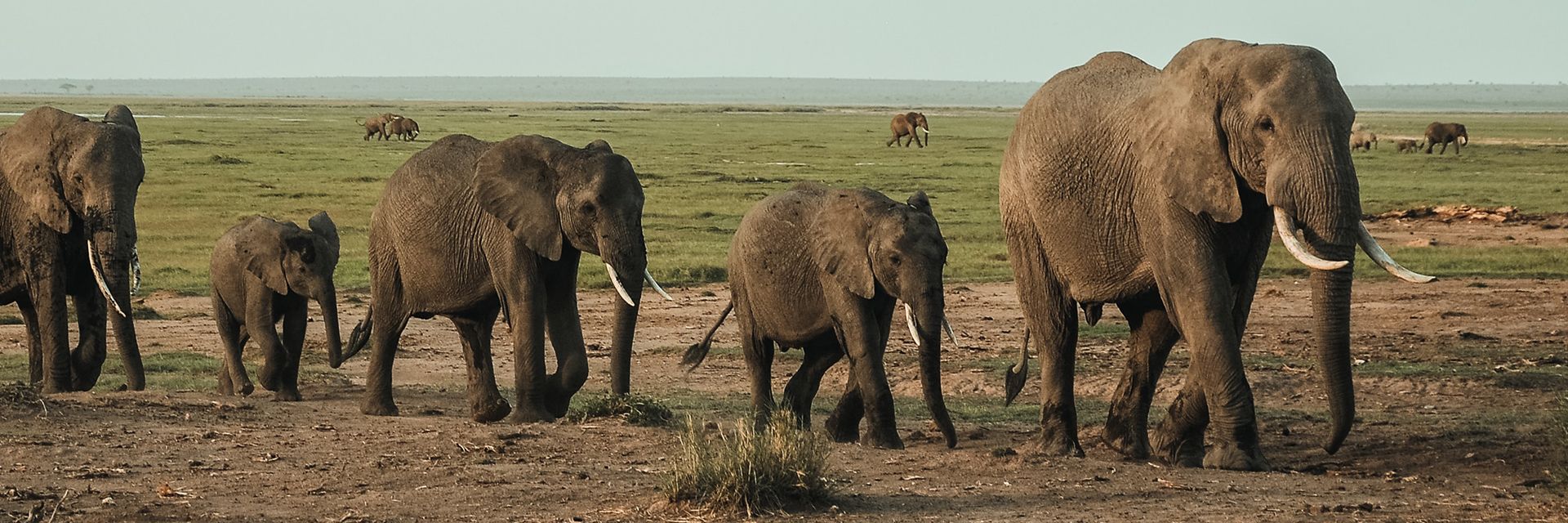 Acrisure se consolida com modelo diferenciado