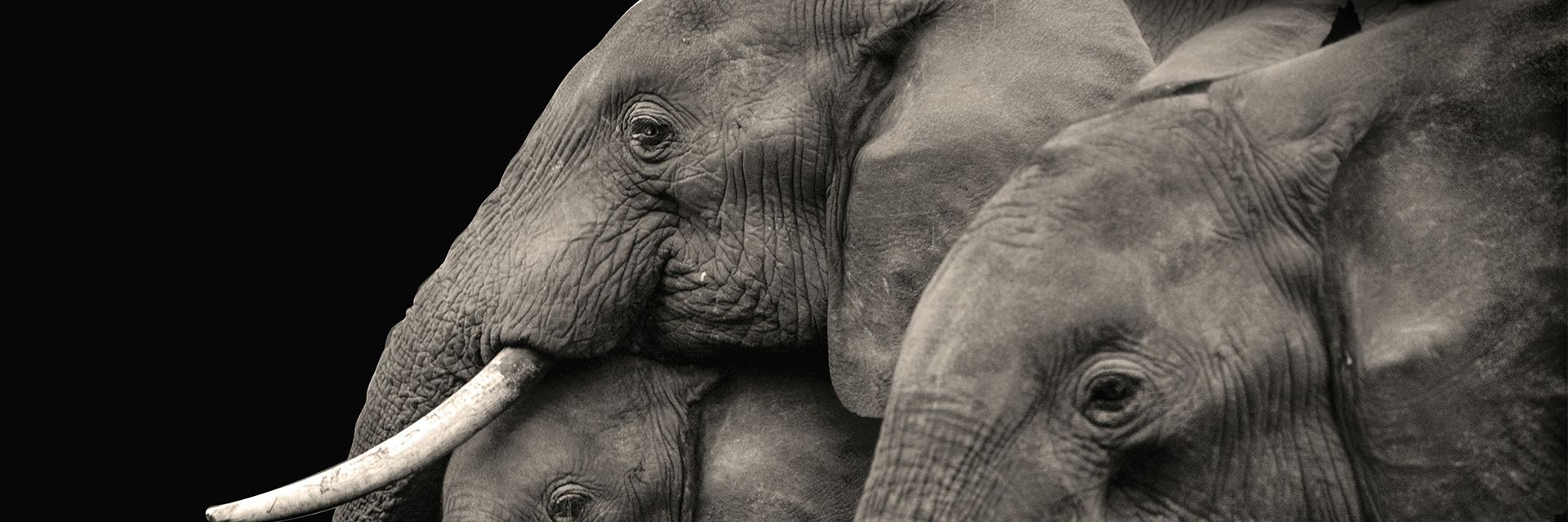 Acrisure se especializa em produtos financeiros