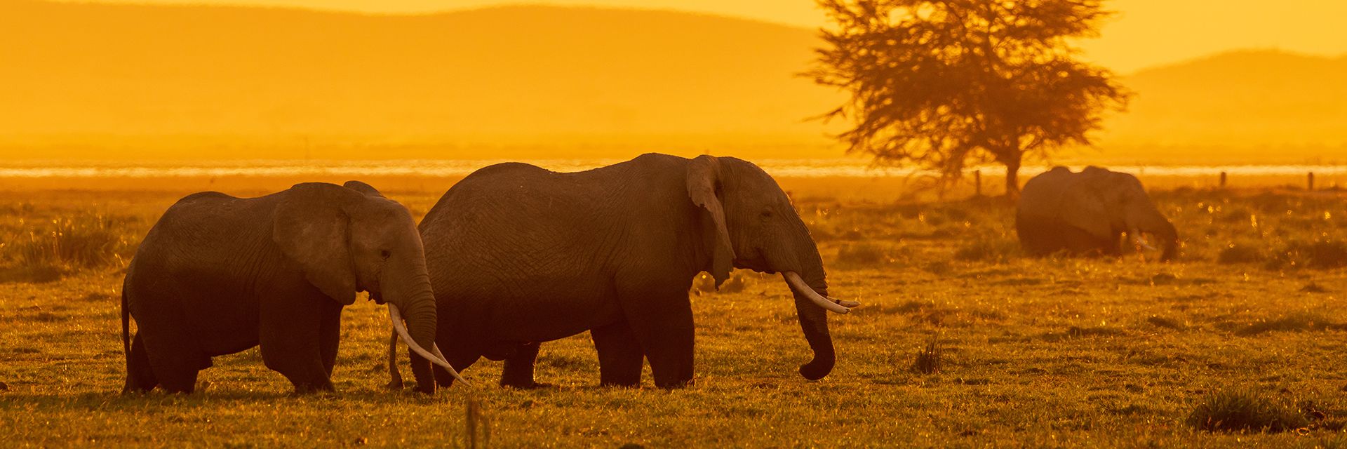 PMR Seguros se associa à Acrisure