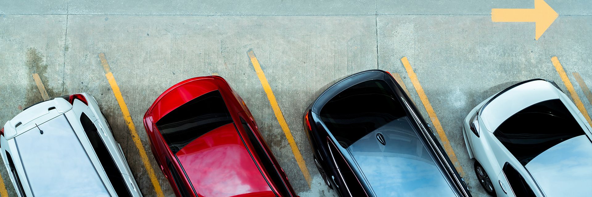 Seguro auto popular explora terreno fértil