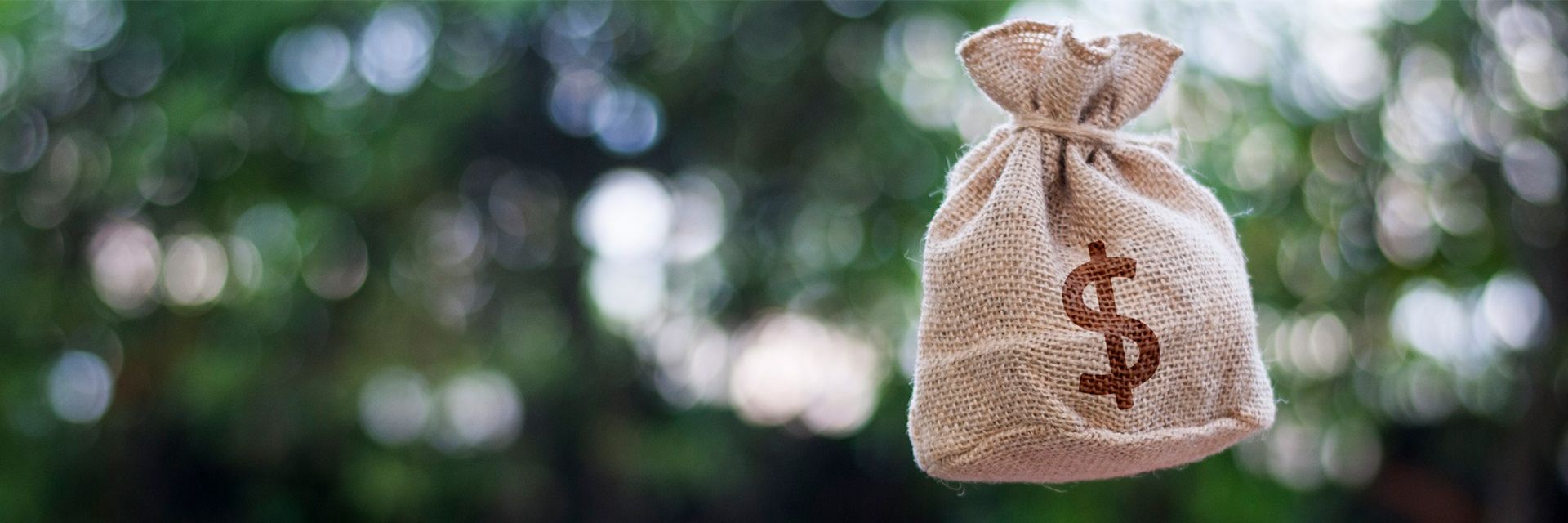 Agricultores que não comunicarem perdas por evento climático dentro do prazo perdem a indenização do seguro