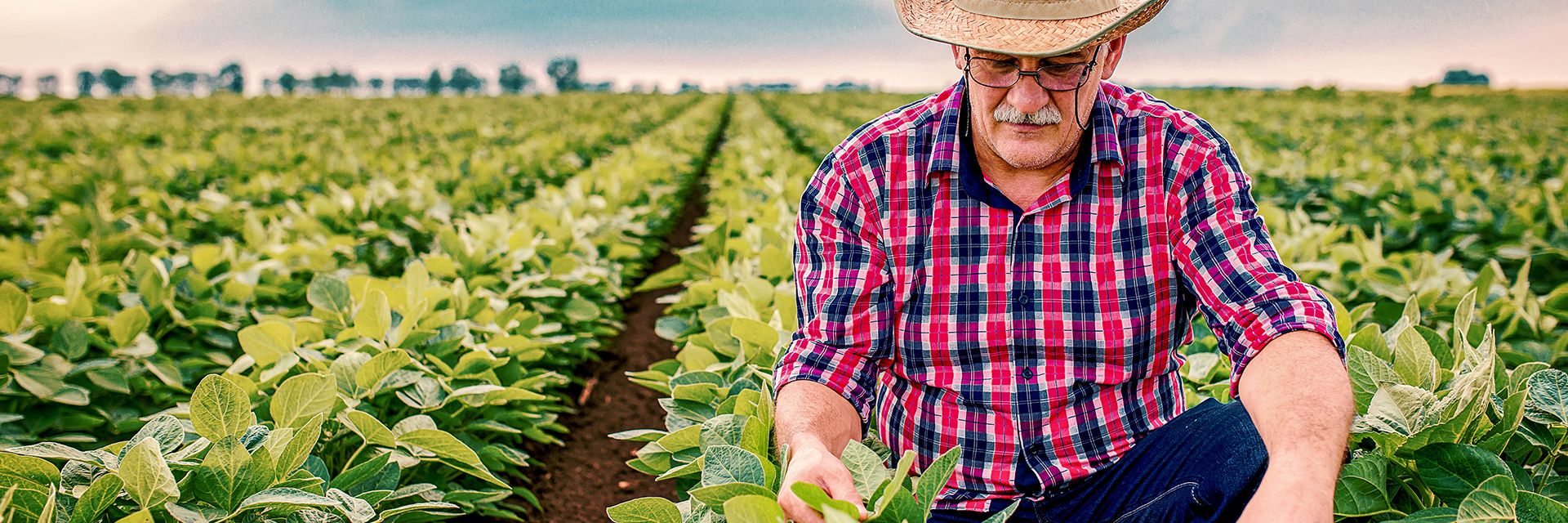 Seguro de Vida para produtores rurais: coberturas e vantagens