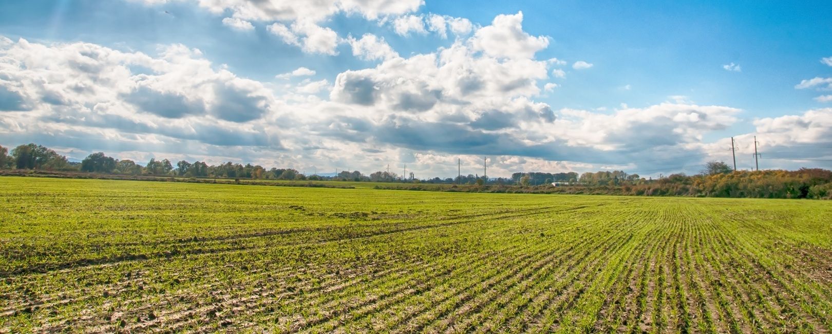 Satélites, dados e clima: o novo jeito de proteger o campo