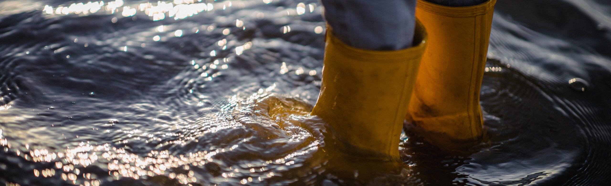 Gestão de Sinistro diante das enchentes no Rio Grande do Sul