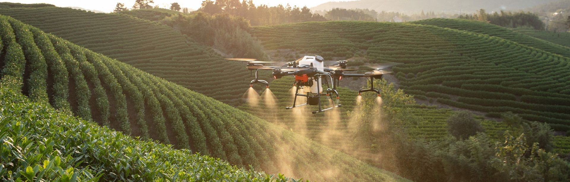 Novas regras da ANAC devem impactar pulverização por drones?