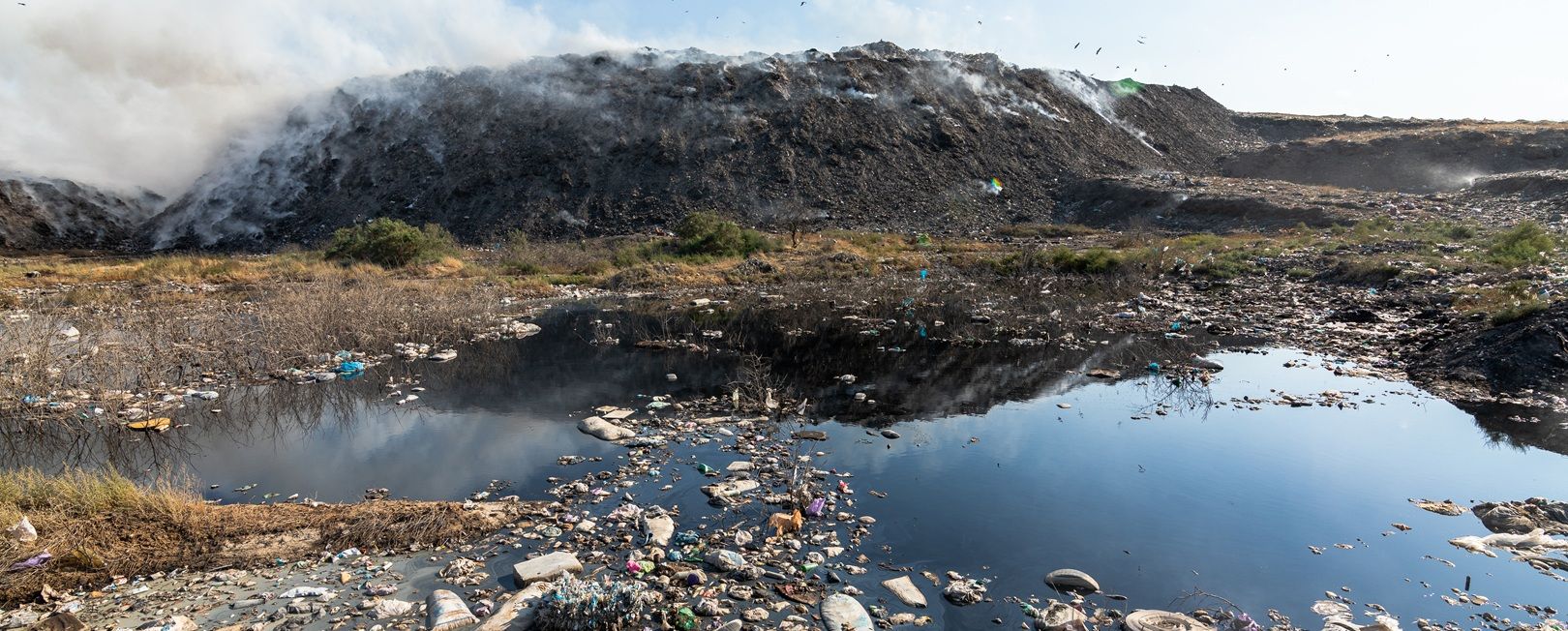Responsabilidade civil e ambiental: quando falhas viram multas