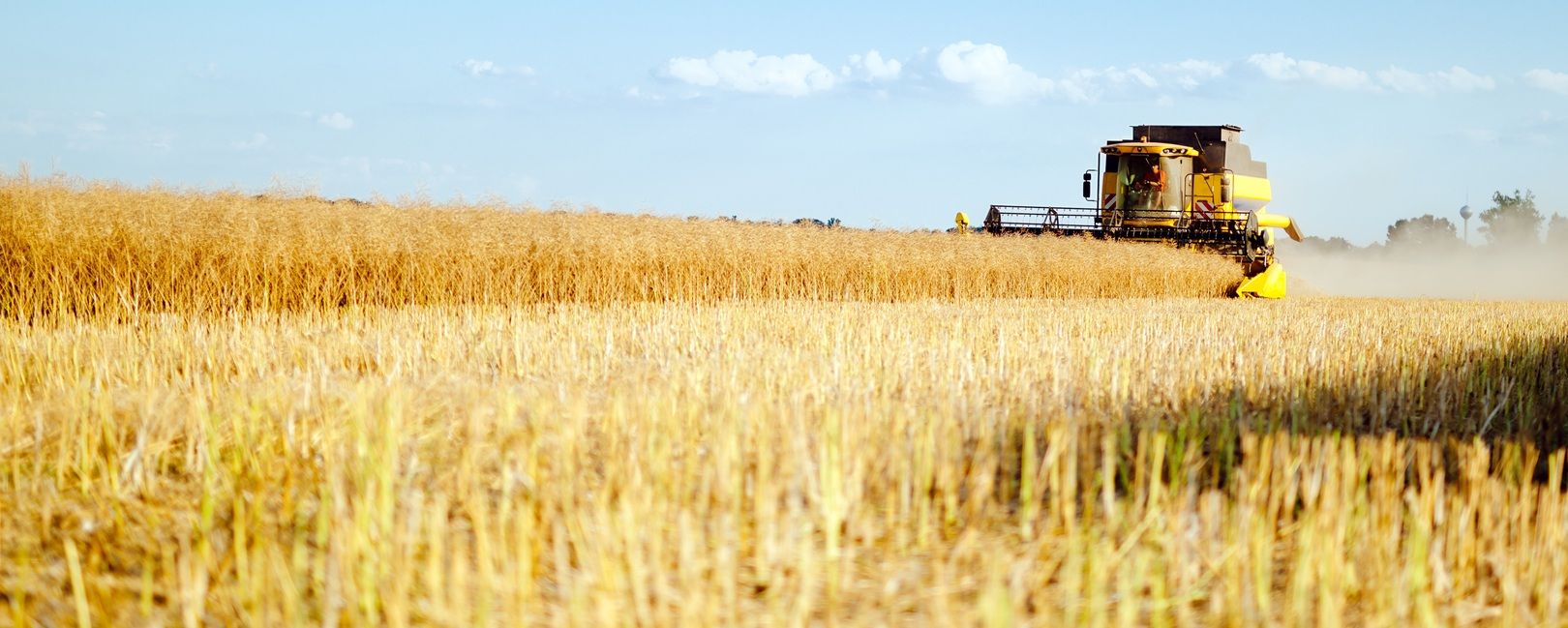 Plano Safra 2025/2026: o que muda para esse ano