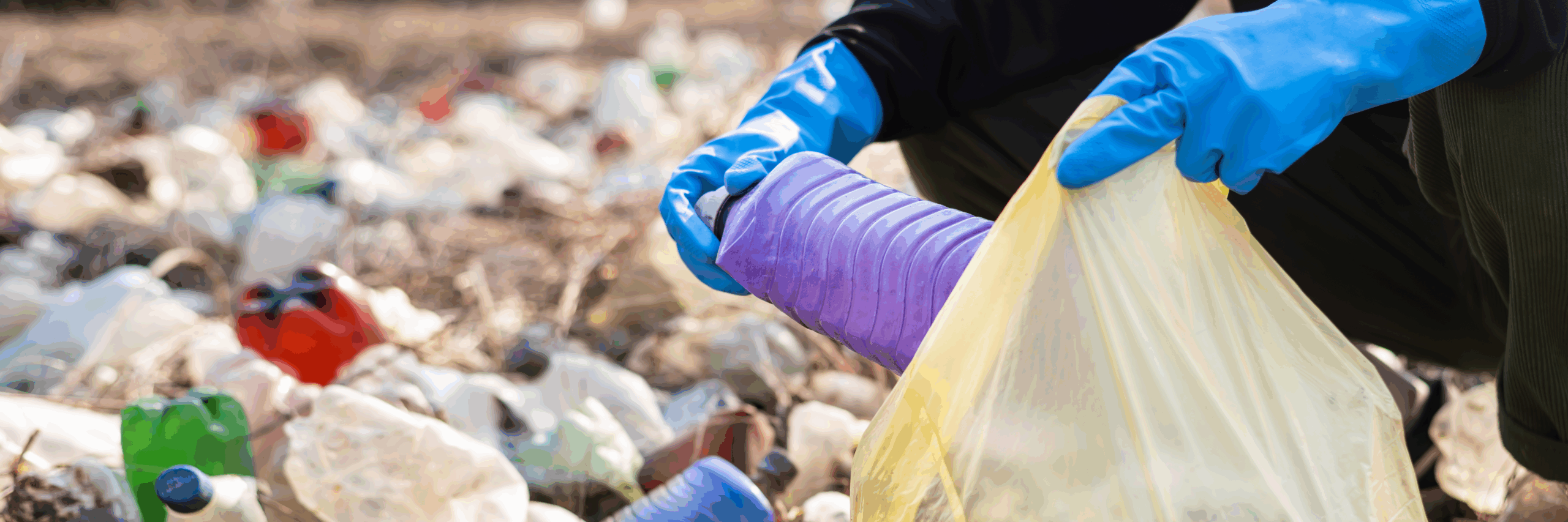 Poluição ambiental: risco crescente exige prevenção e responsabilidade