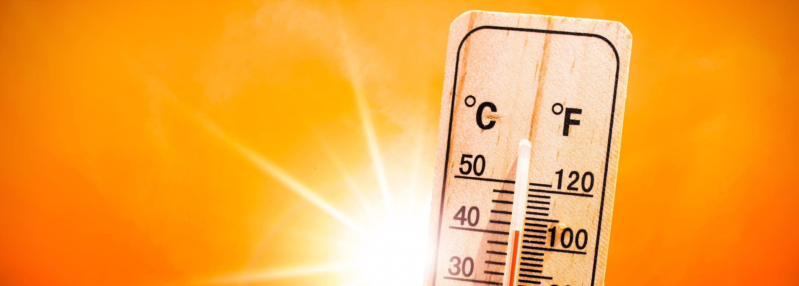 Retorno do El Niño: como a previsão de temperaturas recordes pode impactar o agronegócio?