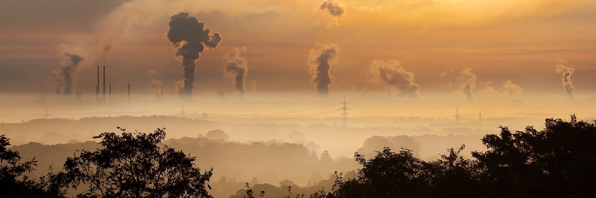 4 dicas para sua empresa prevenir os danos ambientais