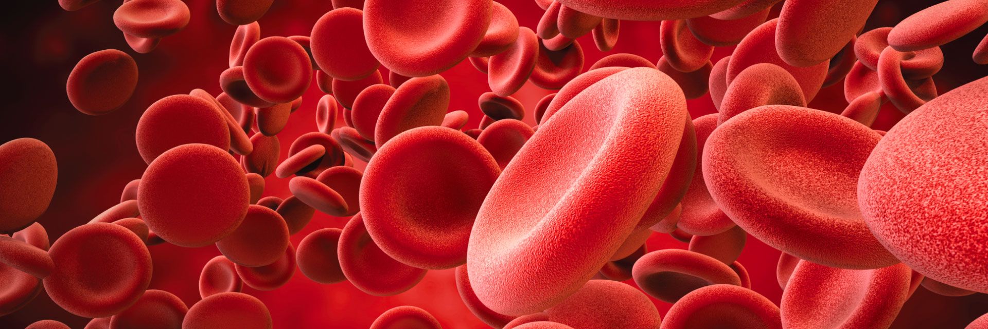 Dia nacional de combate ao colesterol