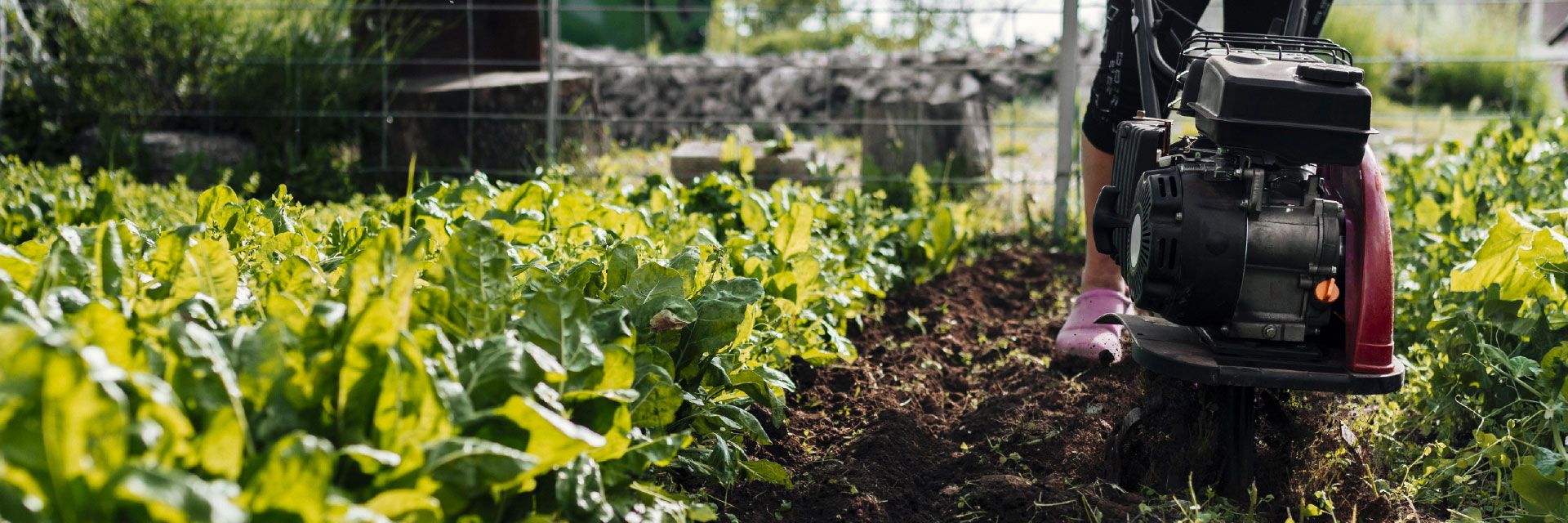 Erros ao contratar um seguro rural