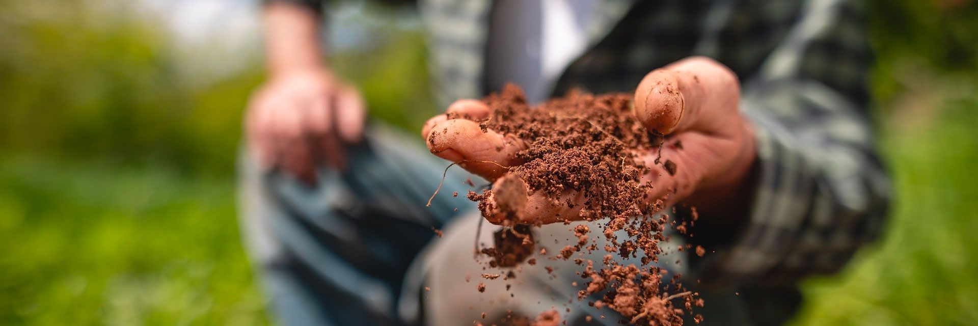 Tipos de poluição do solo e seus impactos para o meio ambiente