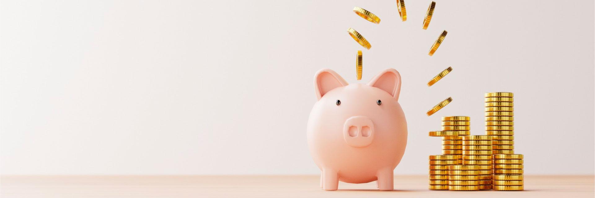 Seguro de Vida em Grupo: como contratar a melhor apólice para sua empresa