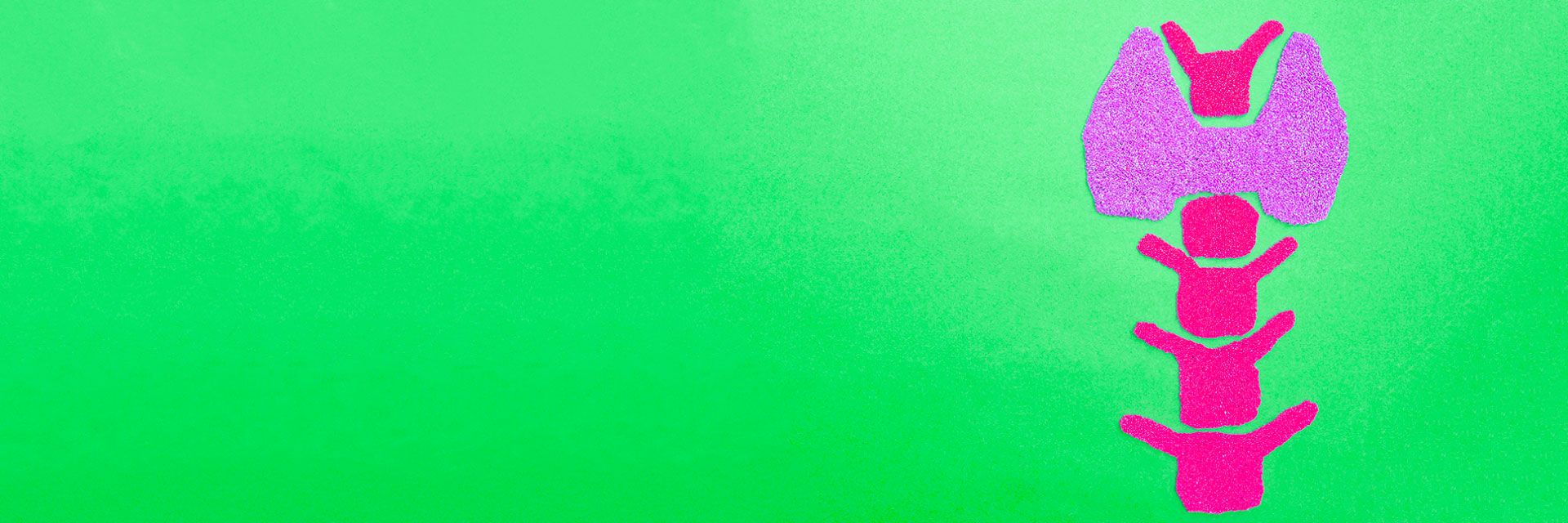 Qual a função da Tireoide e o que são seus distúrbios