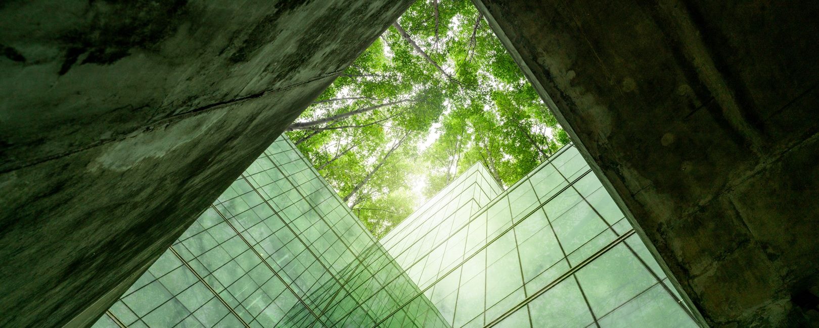 Como o Brasil pode se tornar referência mundial em aço e alumínio verde